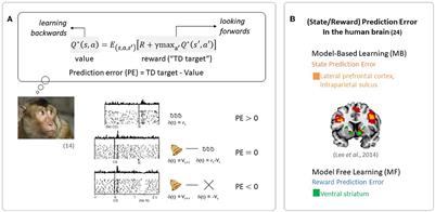 Importance of prefrontal meta control in human-like reinforcement learning